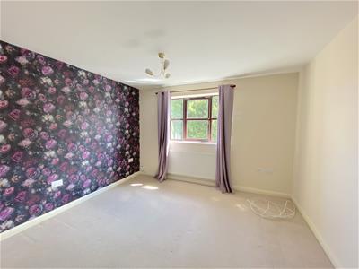 Picture 13